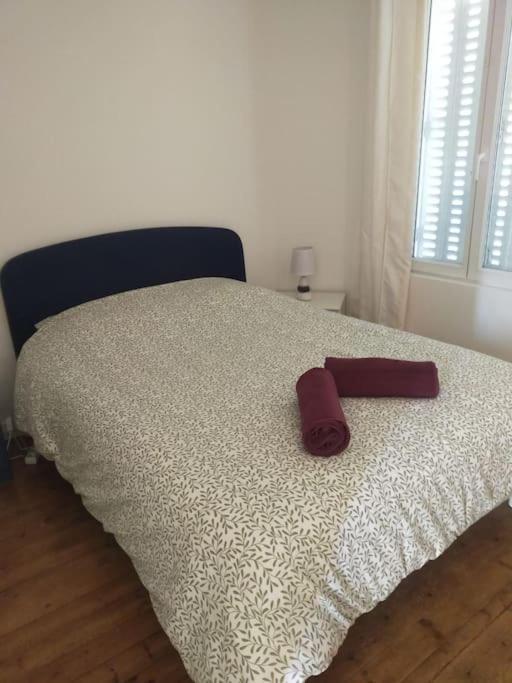 Appartement L'escapade T3 Avec Terrasse Privative *