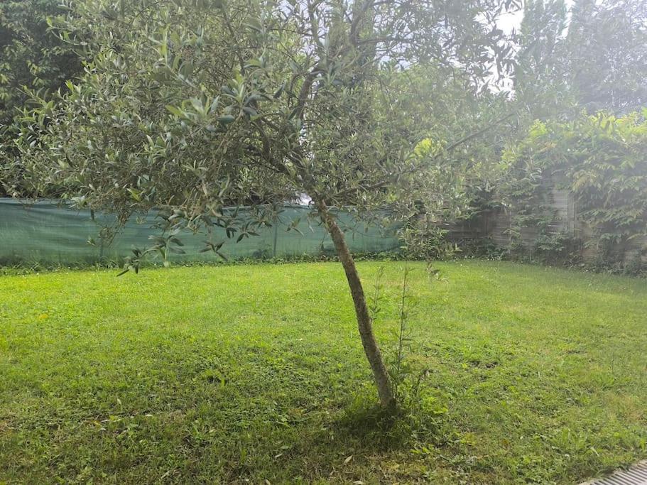 L'escapade T3 Avec Terrasse Privative *
